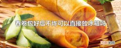春卷包好后不炸可以直接放冰箱吗