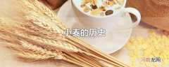 小麦的历史
