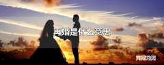 再婚是什么意思