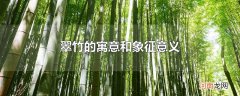 翠竹的寓意和象征意义