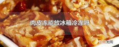 肉皮冻能放冰箱冷冻吗