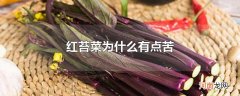 红苔菜为什么有点苦