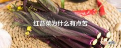 红苔菜为什么有点苦