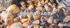 海螺肉刺身什么意思