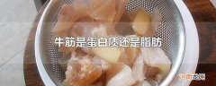 牛筋是蛋白质还是脂肪