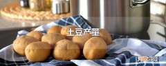 土豆产量
