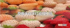 草莓半白半红能放红吗