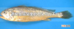 黄花鱼脑袋里的石头可以干什么