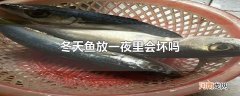 冬天鱼放一夜里会坏吗