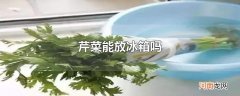 芹菜能放冰箱吗