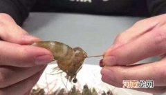如何去除虾线 如何去除虾线和内脏