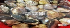 蛤蜊是海鲜吗