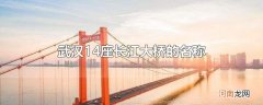 武汉14座长江大桥的名称
