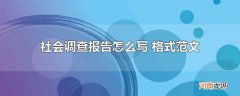 社会调查报告怎么写 格式范文