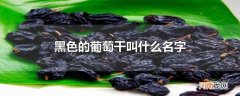 黑色的葡萄干叫什么名字
