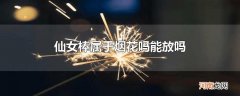 仙女棒属于烟花吗能放吗