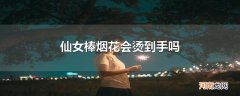 仙女棒烟花会烫到手吗