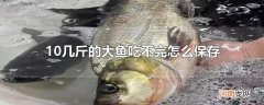 10几斤的大鱼吃不完怎么保存