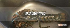 波龙如何存放
