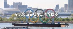 东京奥运会冠军是哪个国家