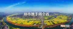 排市属于哪个省