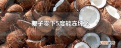 椰子零下5度能冻坏么