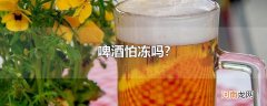 啤酒怕冻吗?