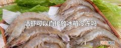 活虾可以直接放冰箱冷冻吗