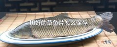 切好的草鱼片怎么保存