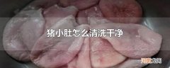 猪小肚怎么清洗干净