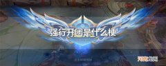 强行开团是什么梗