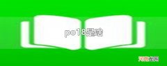 po18是啥