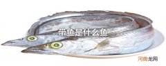带鱼是什么鱼