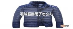 羽绒服淋雨了怎么办
