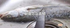 鲈鱼怎么去鳞