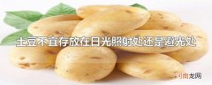 土豆不宜存放在日光照射处还是避光处