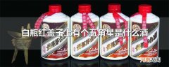 白瓶红盖子上有个五角星是什么酒
