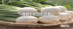 像萝卜的圆形蔬菜
