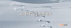 qa是什么意思冬奥会