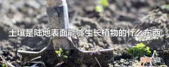 土壤是陆地表面能够生长植物的什么东西