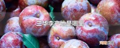 三华李产地是哪里