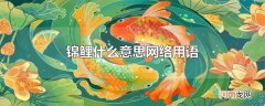 锦鲤什么意思网络用语