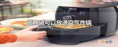 哪种碗可以放进空气炸锅