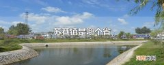 苏巷镇是哪个省