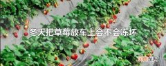 冬天把草莓放车上会不会冻坏