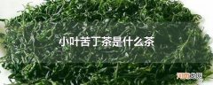 小叶苦丁茶是什么茶