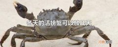 冬天的活螃蟹可以放几天