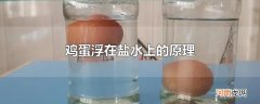 鸡蛋浮在盐水上的原理