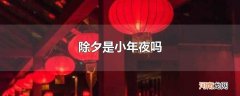 除夕是小年夜吗