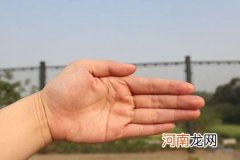 男人手相图解大全详解 男人手相图解大全